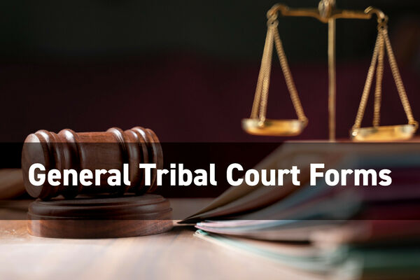 Tribal Court Forms Saint Regis Mohawk Tribe